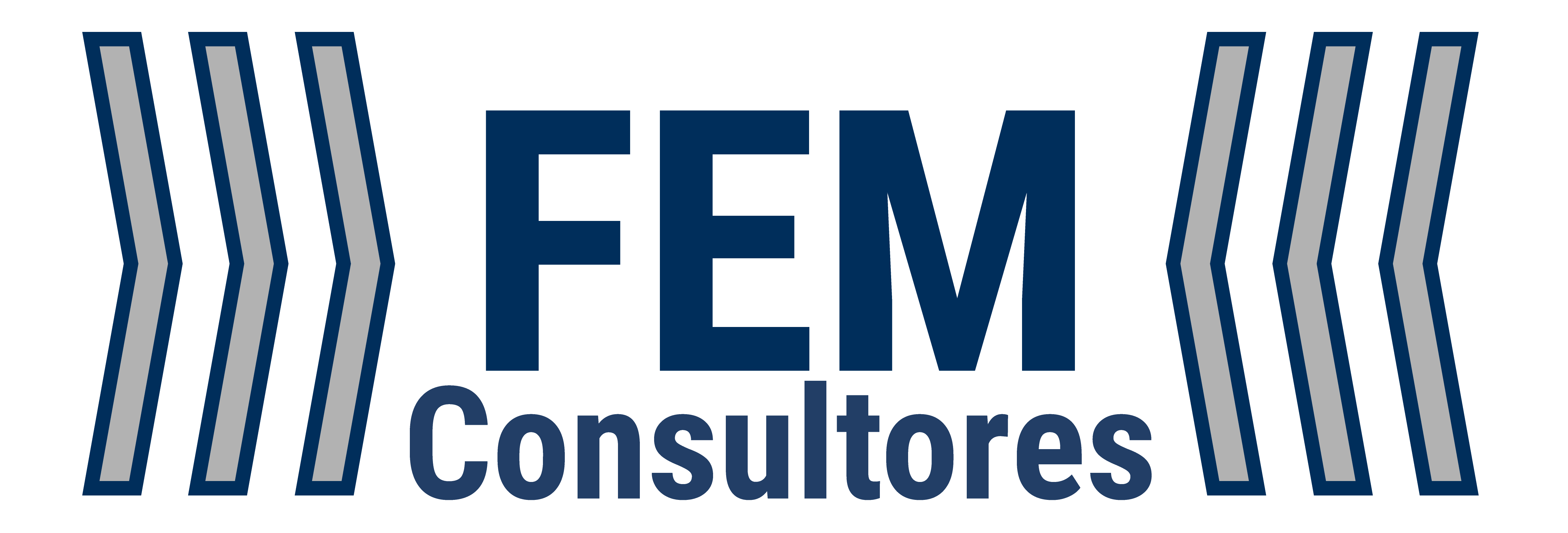 FEM Consultores